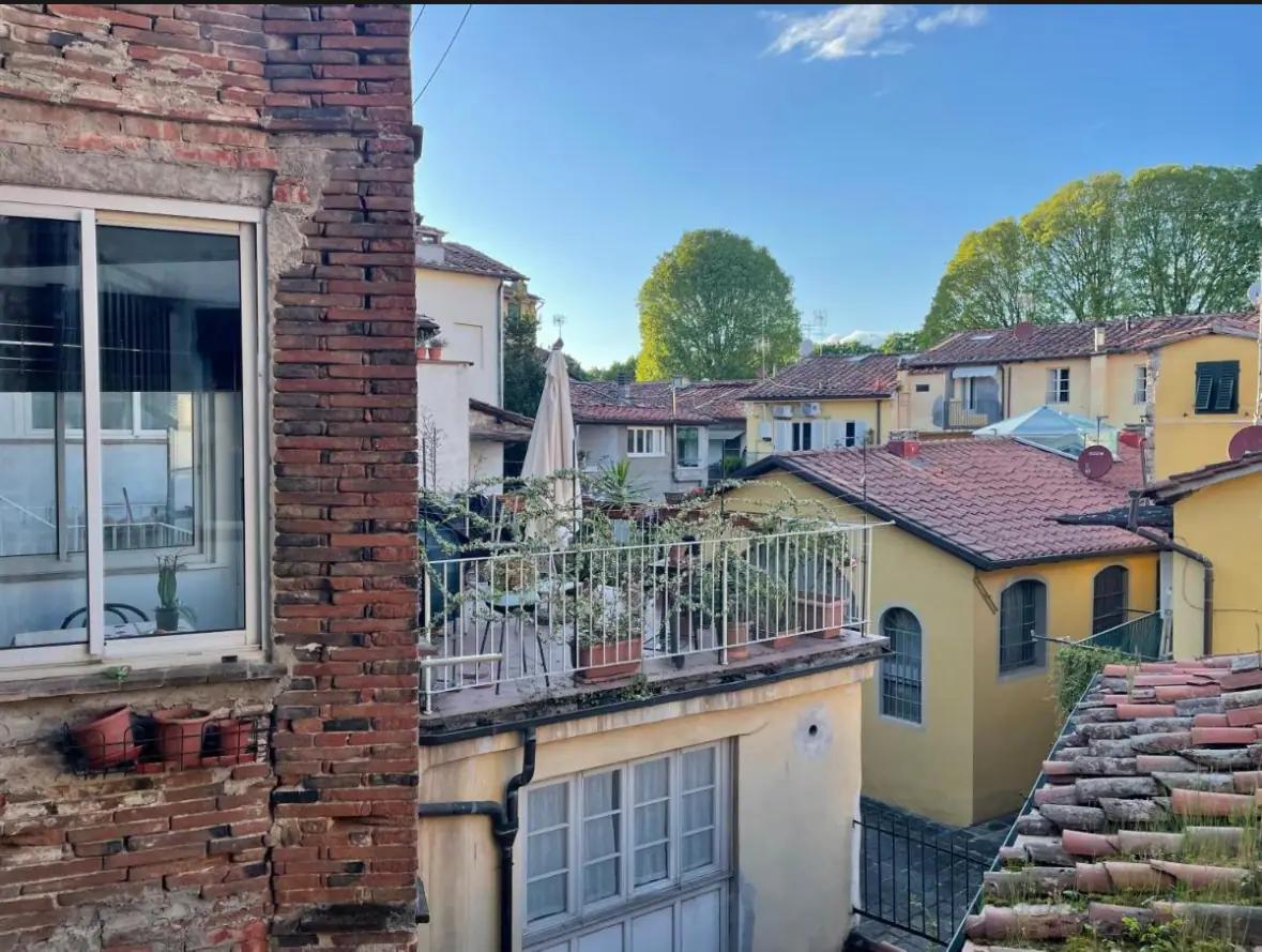 Outdoor spaces — photo 3